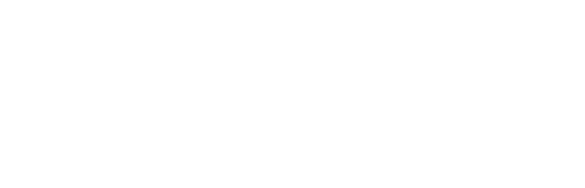 INCARNATE®
